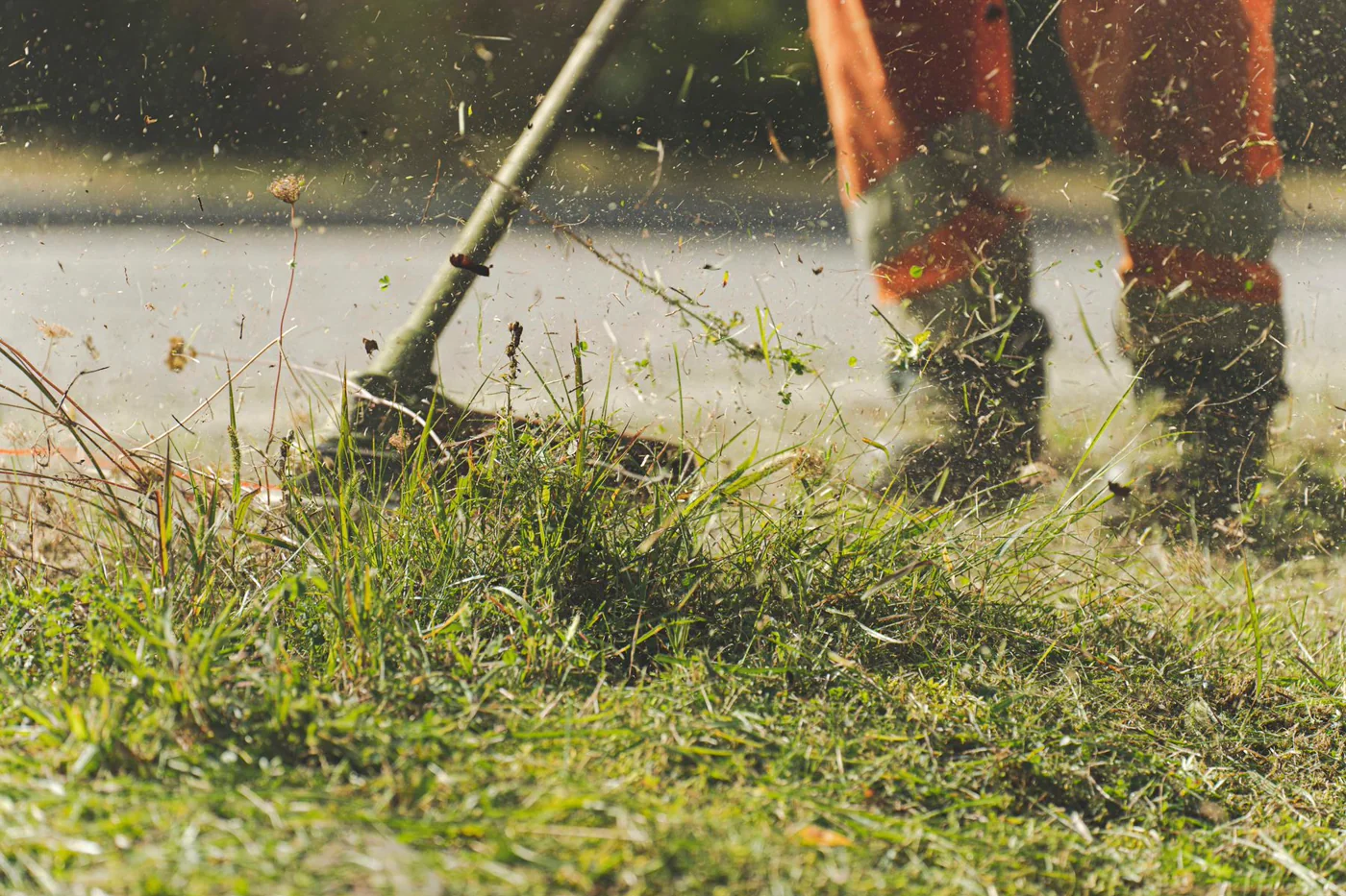 Tonte, bordures et remise en propre du jardin - Accompagnement renforce a Lyon