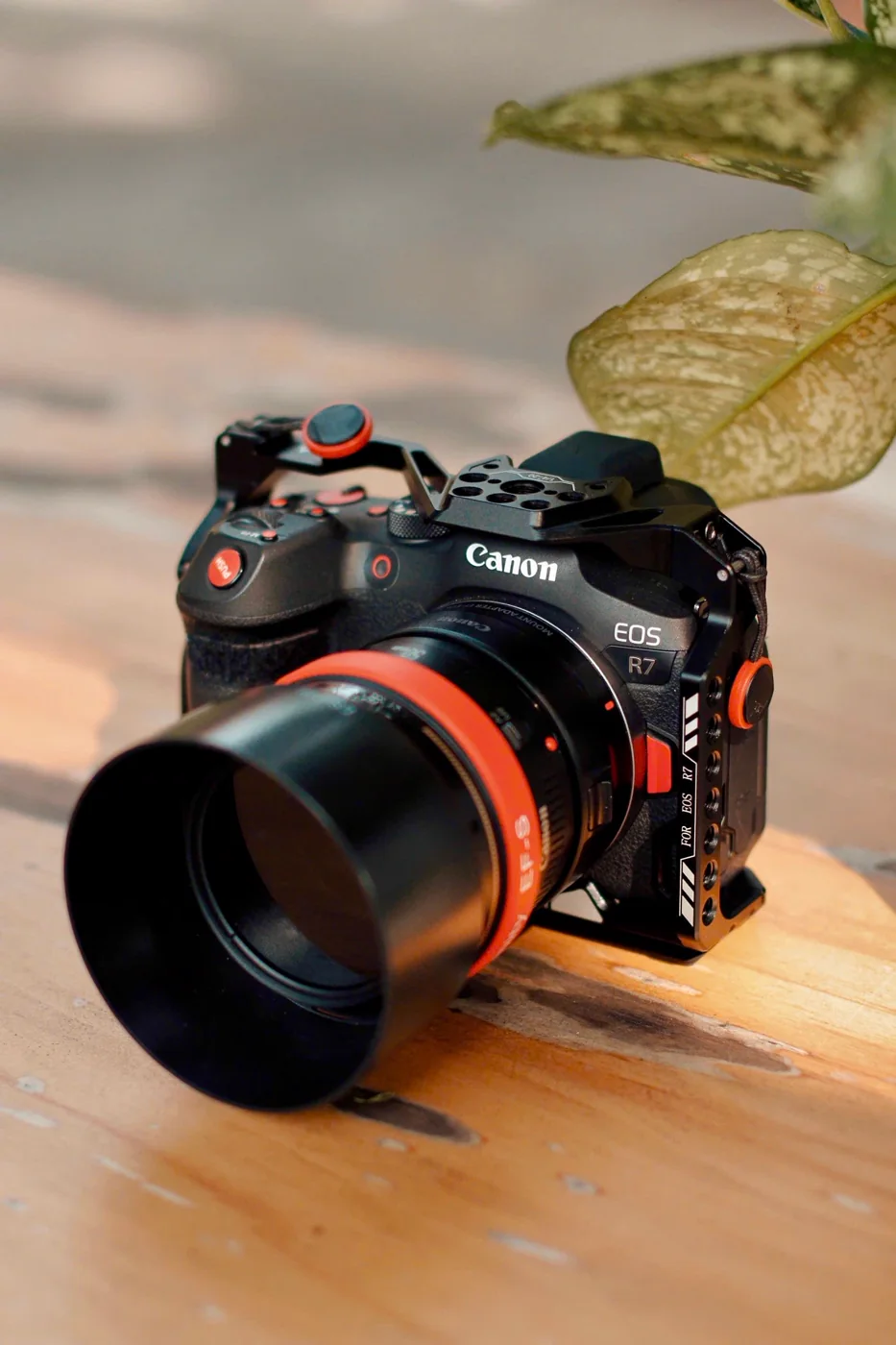 Canon EOS R6 avec objectif - Retrait sur rendez-vous a Lyon